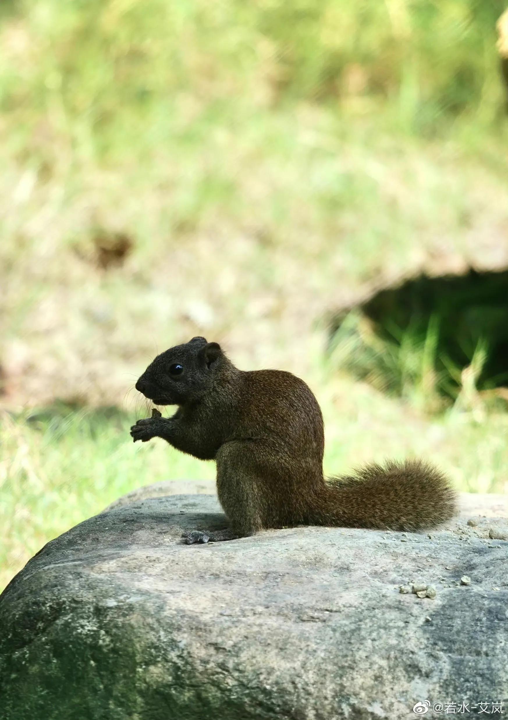 上海市嘉定区安亭国际汽车城,上海嘉定安亭国际汽车城