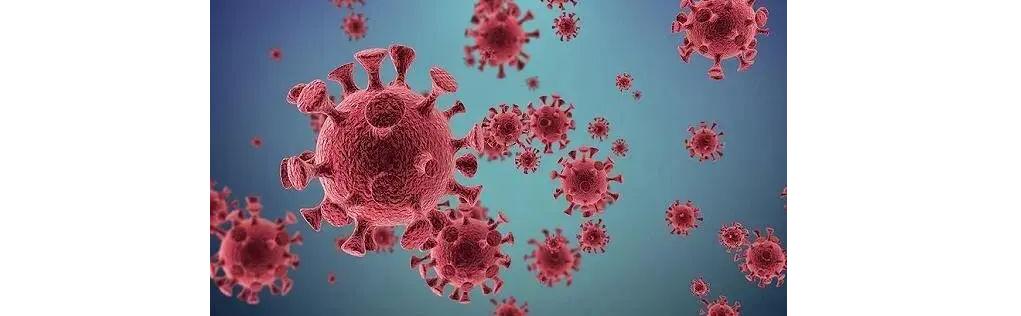 细菌病毒真菌到底哪个感染的厉害,细菌病毒感染与人体免疫