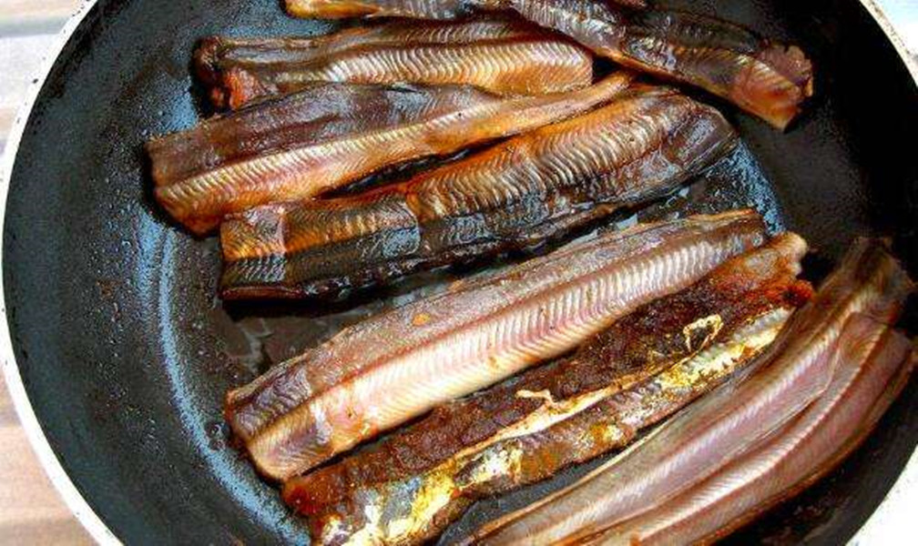 被吃成濒危物种的鱼,被人吃到濒临灭绝的野生动物