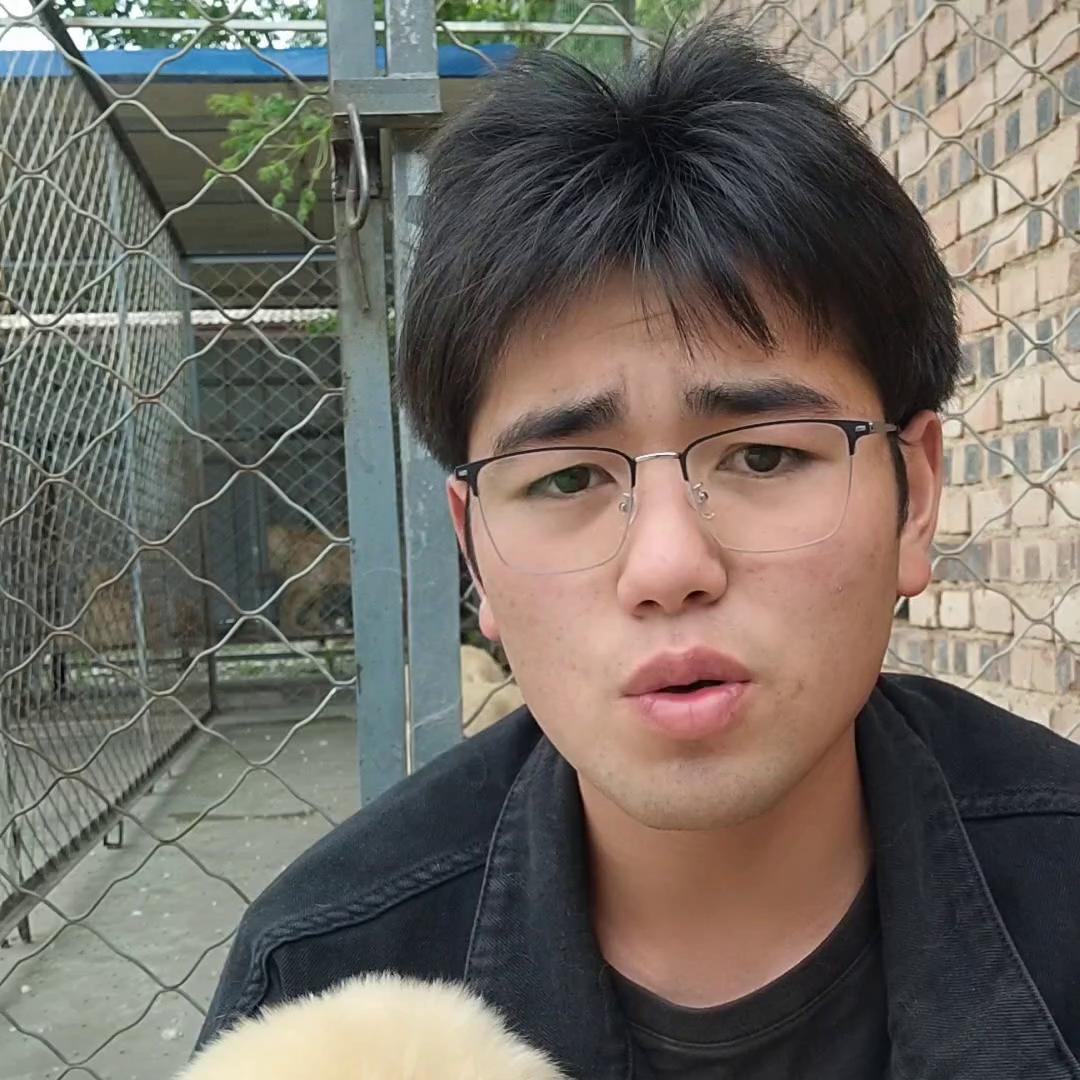 几个月的狗狗可以吃剩饭剩菜,狗狗不吃剩菜剩饭挑食怎么办