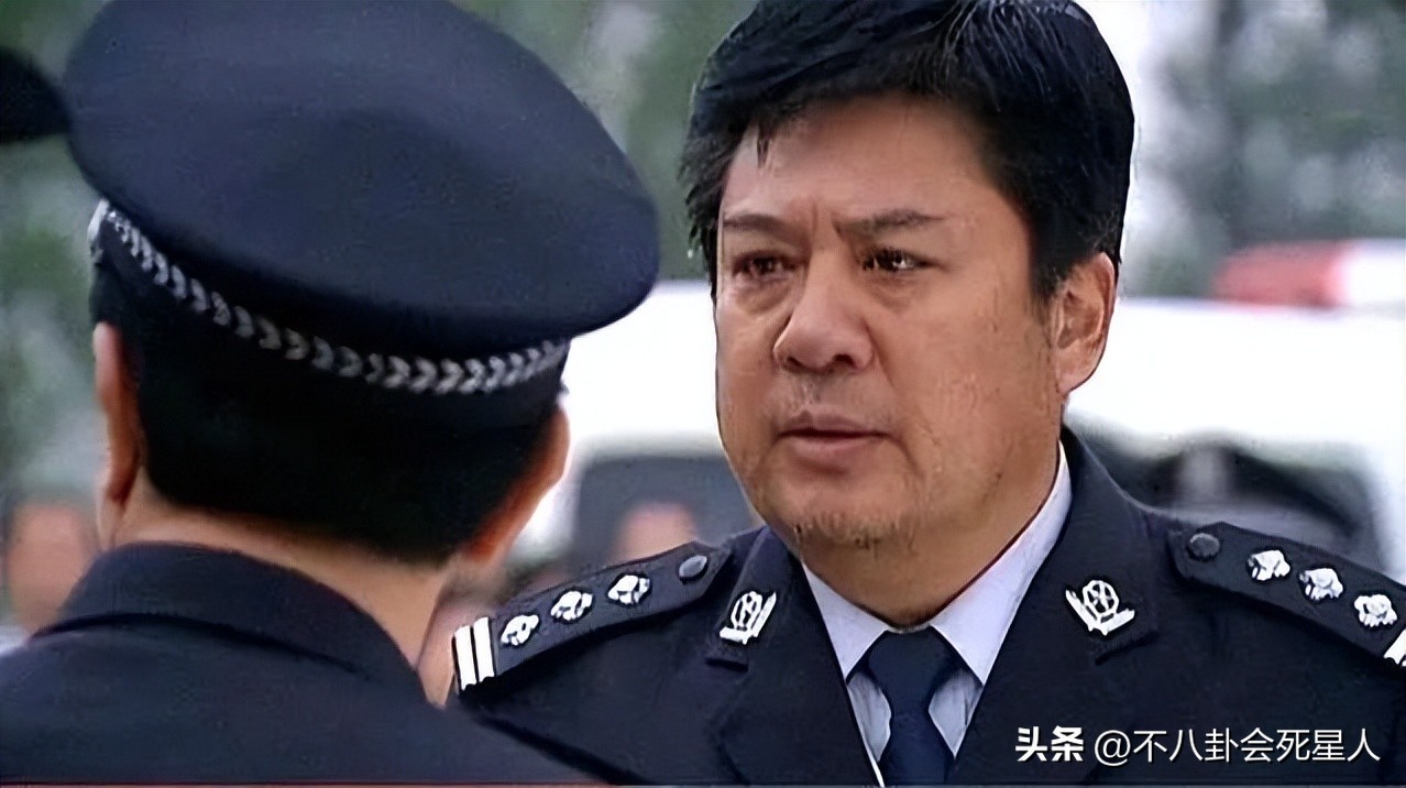 王茜主演的警察电视剧全部,王茜警察