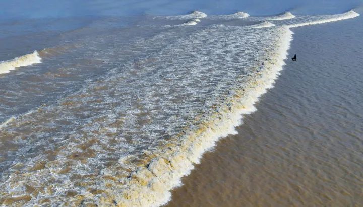 八八战略干在实处,八八战略指引下再创新辉煌