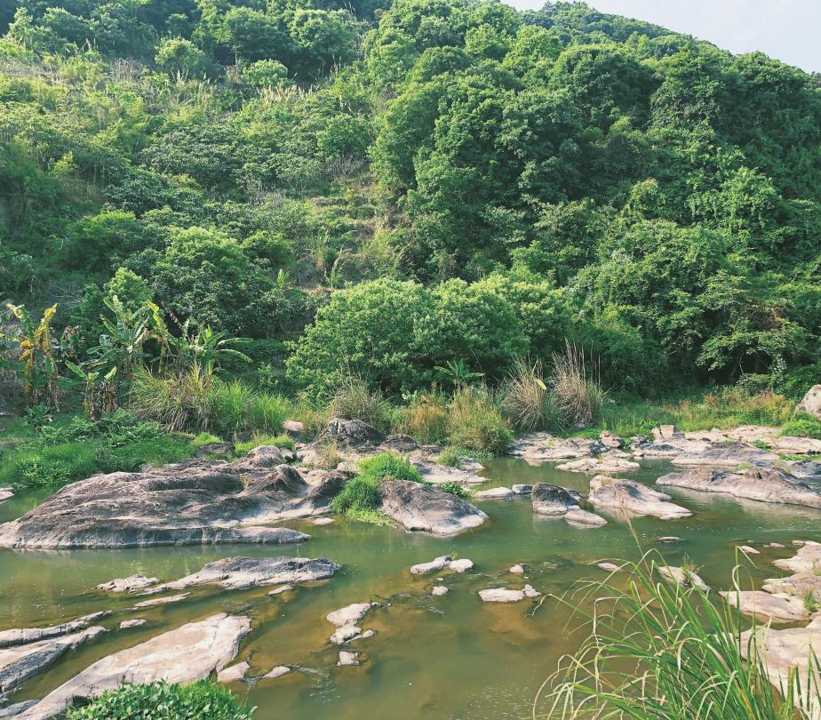 木兰风光好去处•达人带你去旅游|山环水绕清流如带——张洋村，一个藏在新县里的小村庄