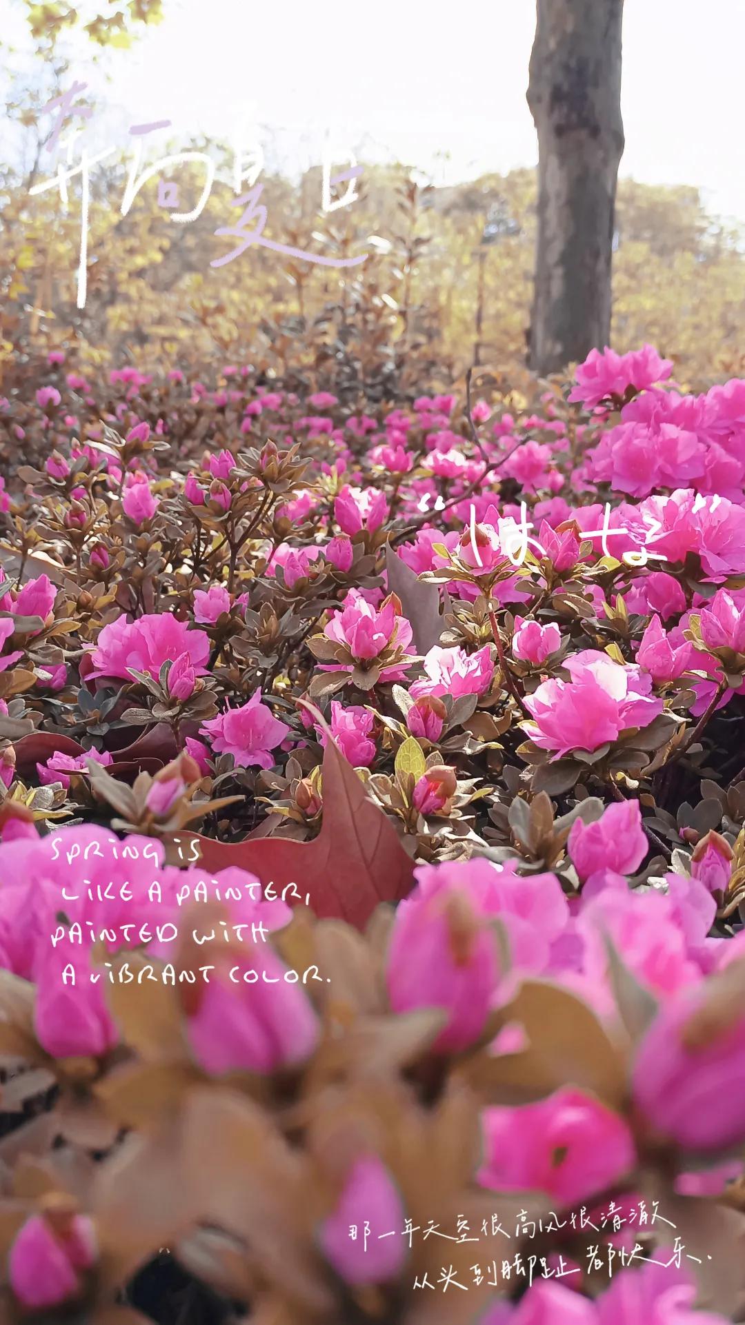 西南财经大学天府学院什么专业好,西南财经大学天府学院是什么档次