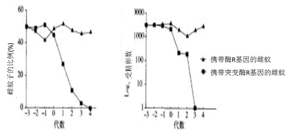 高中生物细胞代谢产生什么物质,高中生物细胞代谢视频