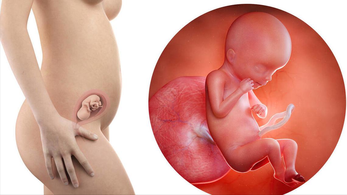 派特灵生物科普|阴道镜下宫颈管搔刮术，要点回顾！