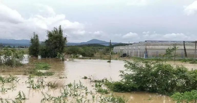 圈内人爆料的假恩爱夫妻,被骂最惨的一对秀恩爱夫妻