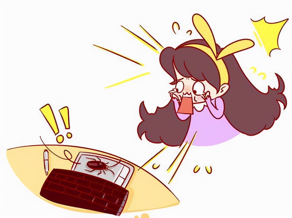 简易灭蟑法,目前最好的灭蟑药