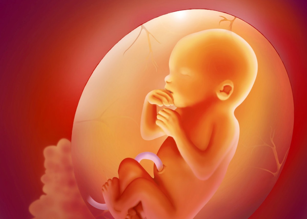 孕期吃鹅蛋对胎儿胆囊有影响吗,孕期吃鹅蛋会不会胎儿变大