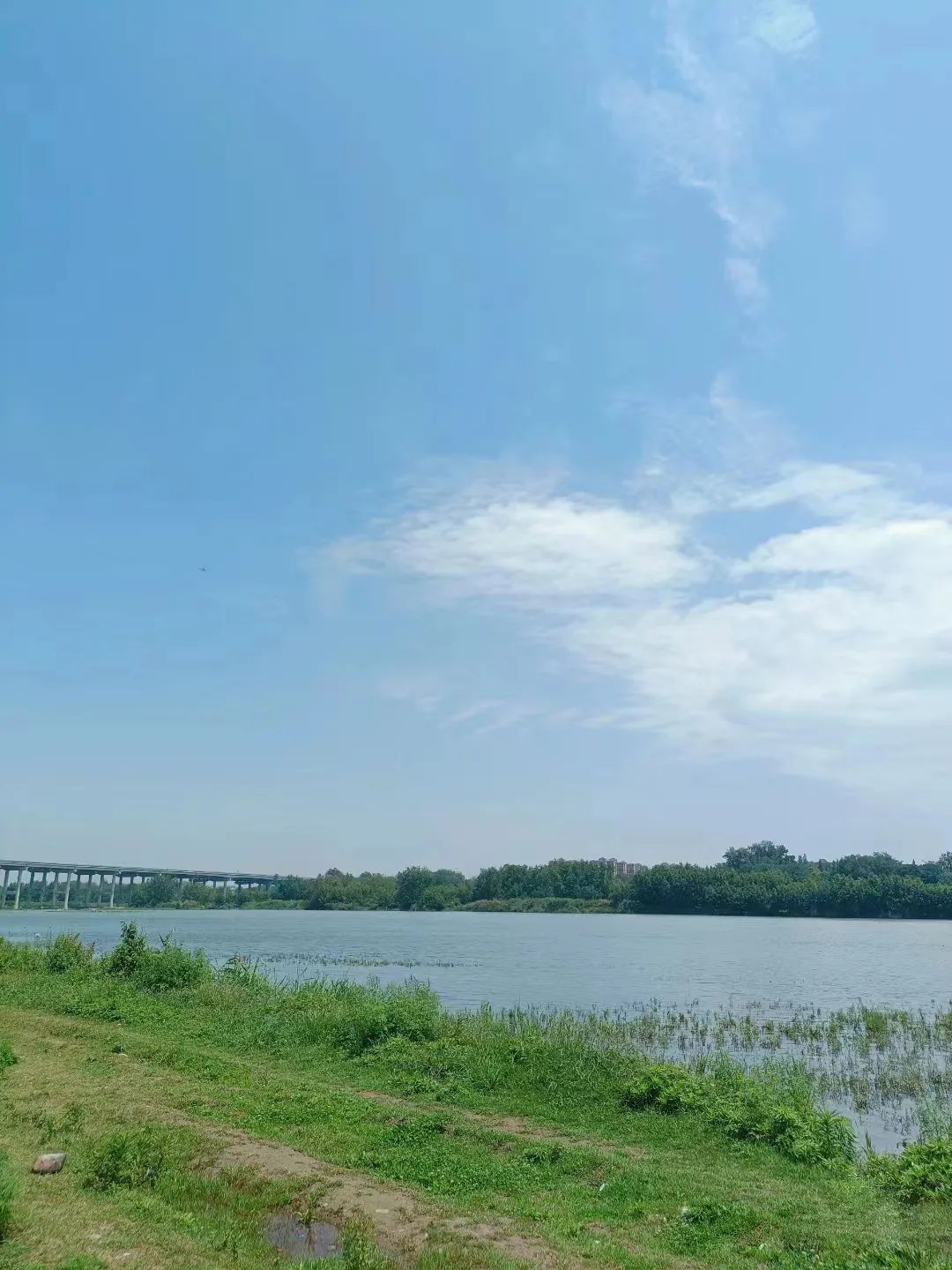 成都免费露营生火过夜地点推荐,成都免费露营旅游地点推荐