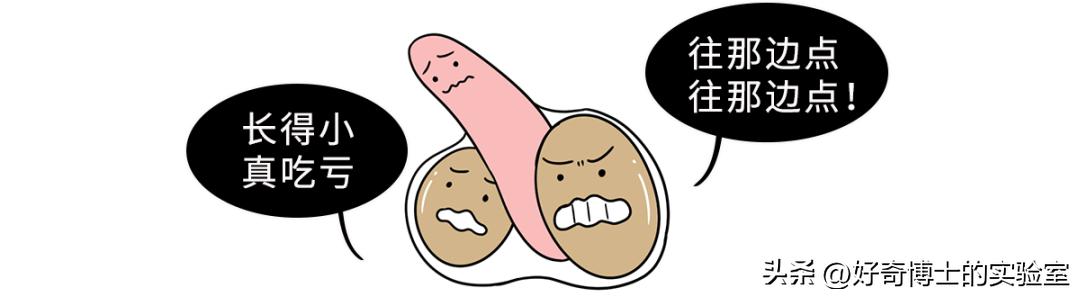 男女生的真实区别,体质健康数据男女生怎么筛选