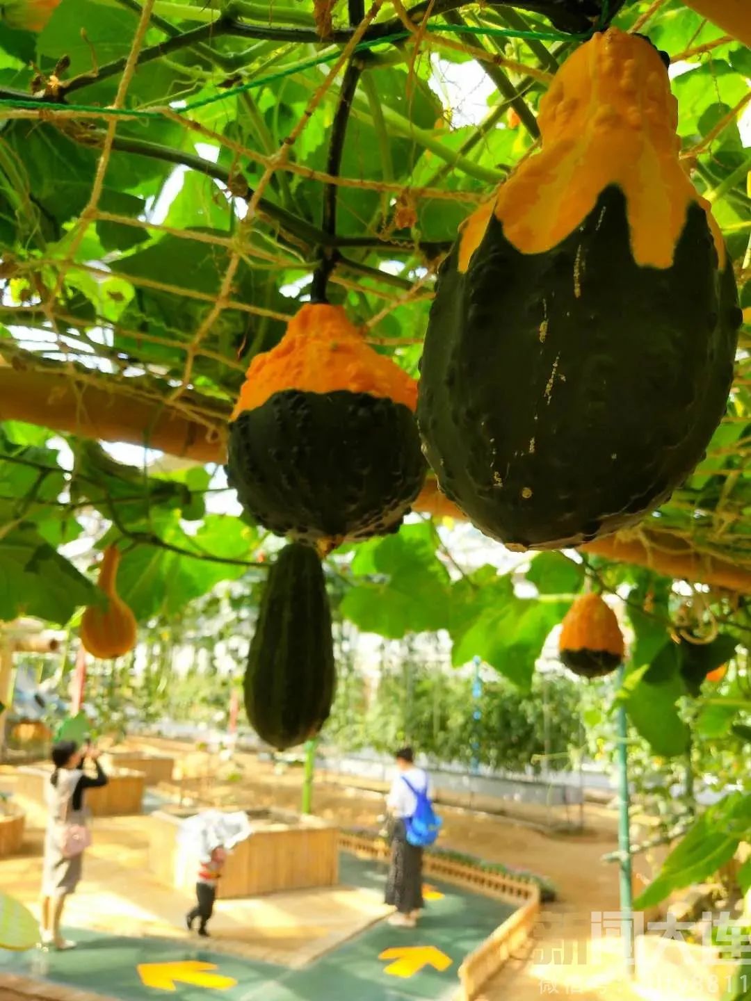 没想到附近也有这么美的风景,美丽的风景近郊旅游的好去处