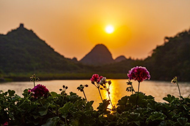 520文案我希望最初是你,520文案你的眼里有星辰大海