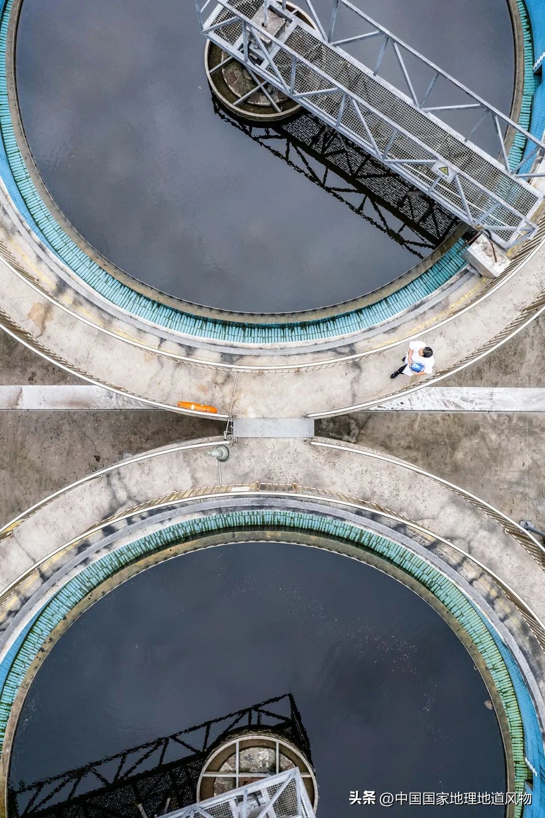 茅台酒的味道是香精调出来的吗,茅台酒的酱香是什么酱