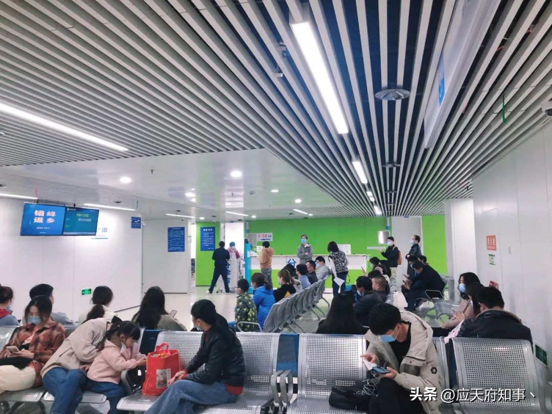 南京皮研所是干嘛的,南京皮研所为什么这么牛