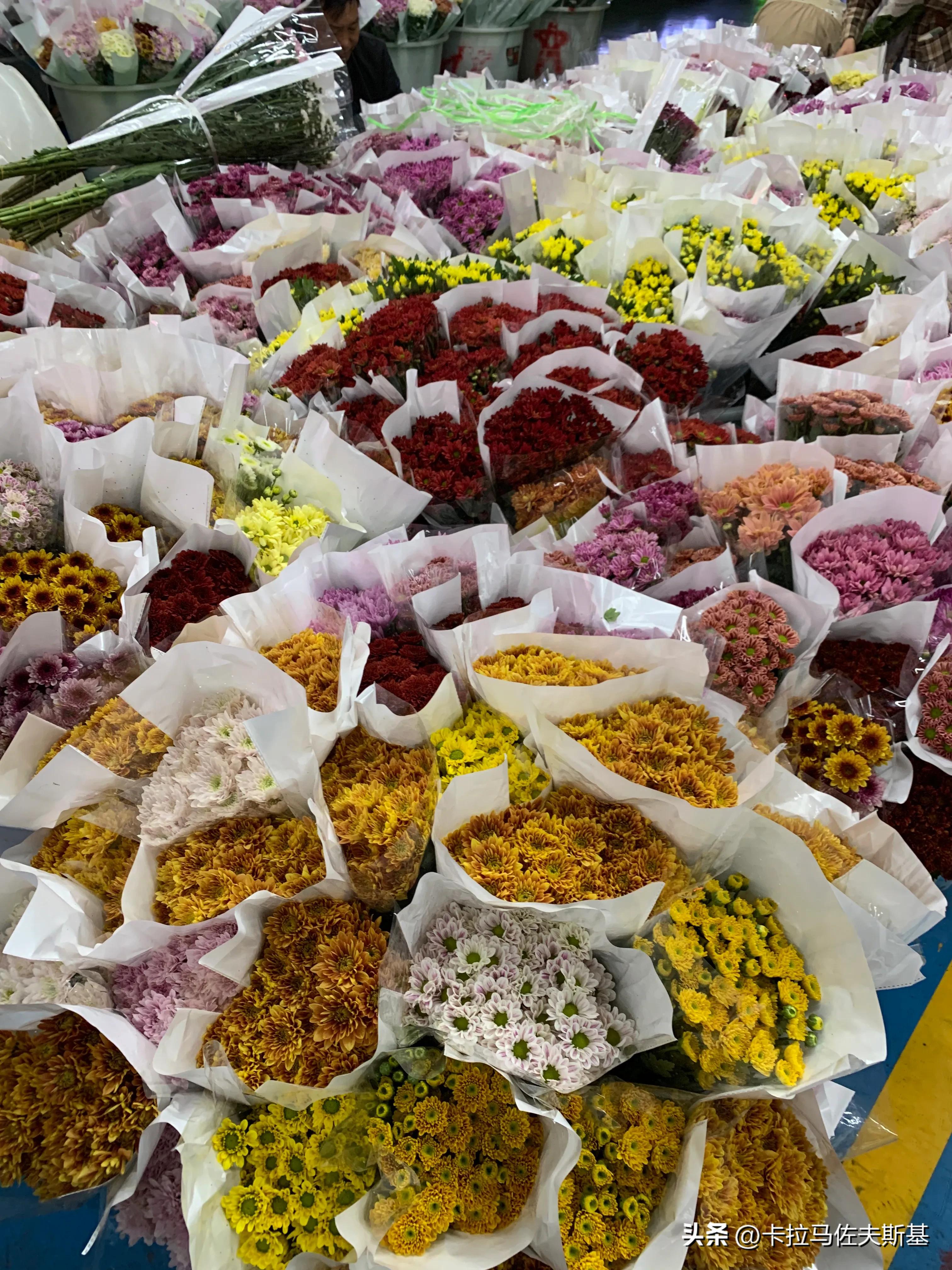 为什么要去云南腾冲芒市瑞丽旅游,芒市瑞丽腾冲旅游五一