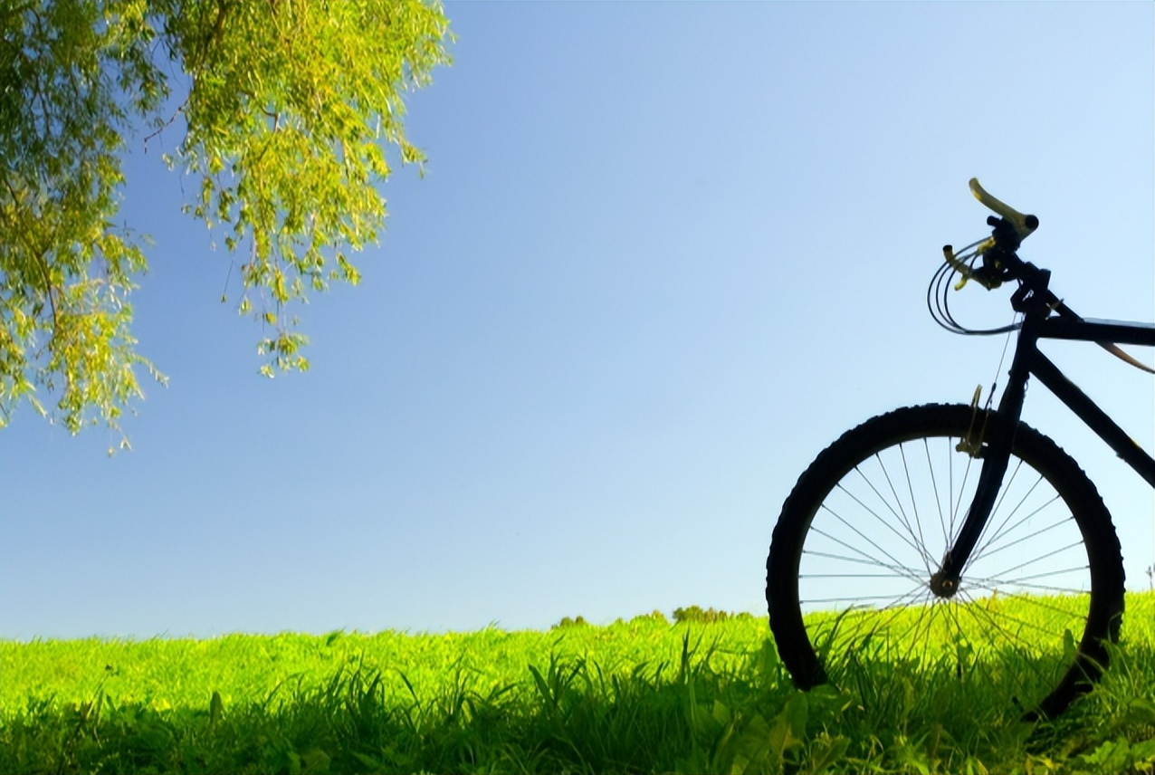 关于清明节的诗词或词句,清明节经典诗句和风俗