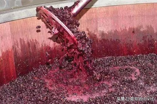 正宗葡萄酒酿造法,葡萄酒酿造步骤精简