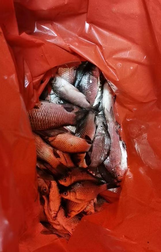 20221015二钓马冲水库