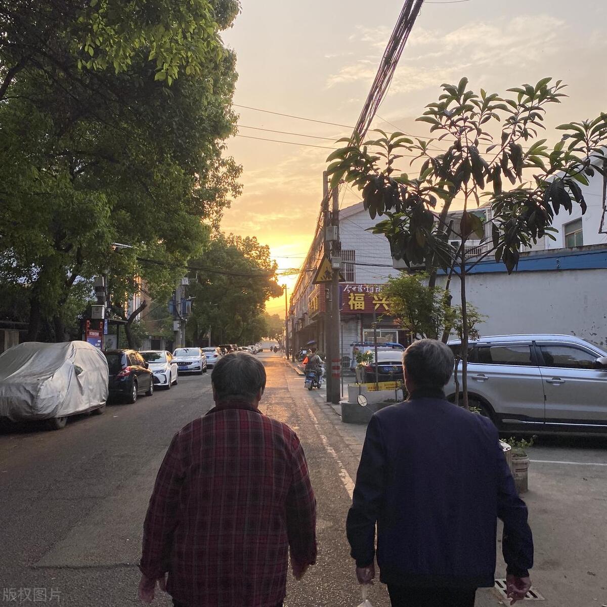 居家必备技巧：薅羊毛！看你能薅到多少！