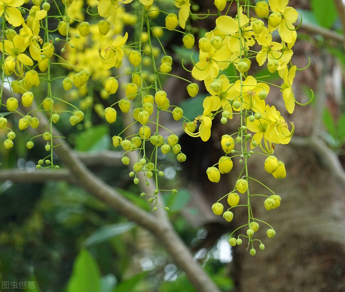 你不知道的国家冷门知识泰国,泰国旅游你不知道的那些事