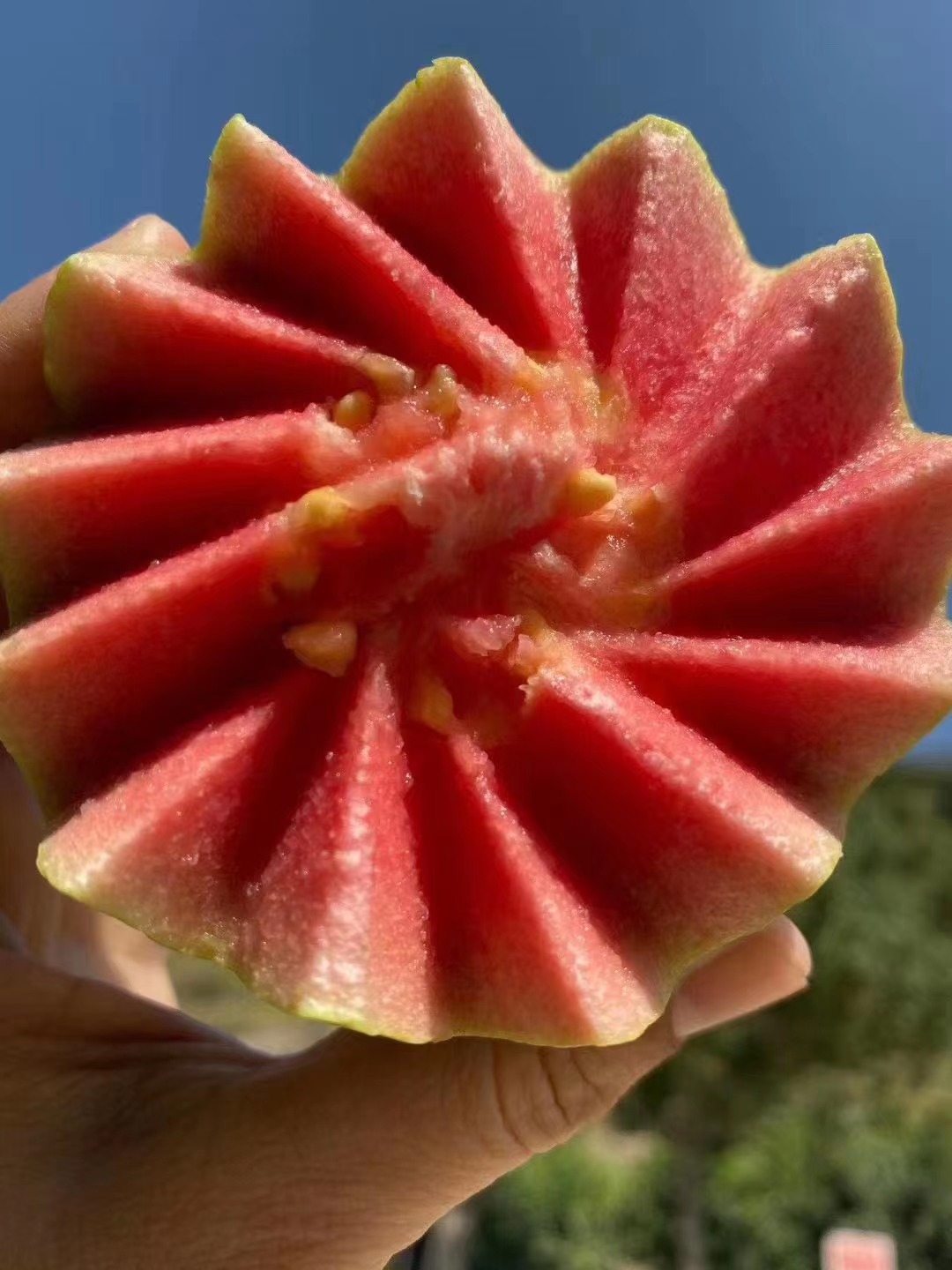 红宝石西瓜芭乐番石榴,红心芭乐跟红宝石番石榴哪个好吃