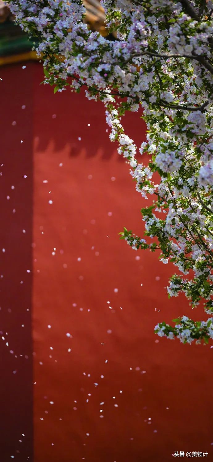 愿五月平安顺利开心,愿五月一切平安顺遂