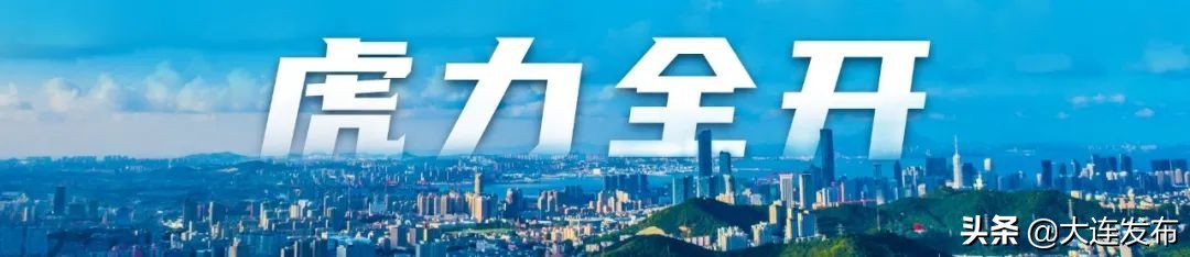 大连市小巨人,大连国家小巨人企业