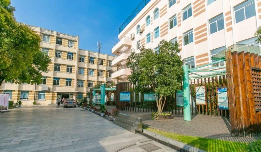 上海徐汇区小学第一梯队学区,徐汇区小学排名
