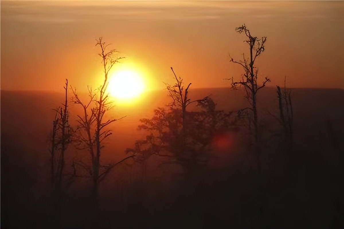 秋思最好听的十首诗,最美秋思的诗句