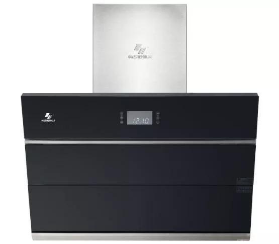 上海申花集团公司老板,上海申花队队史