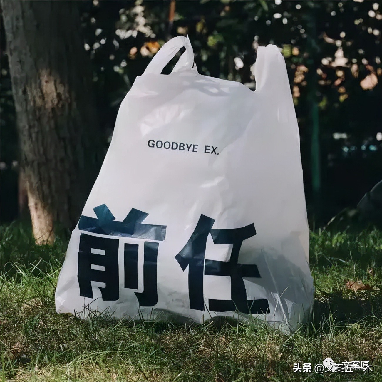 高级看淡世俗文案,那些饱含爱意的文案