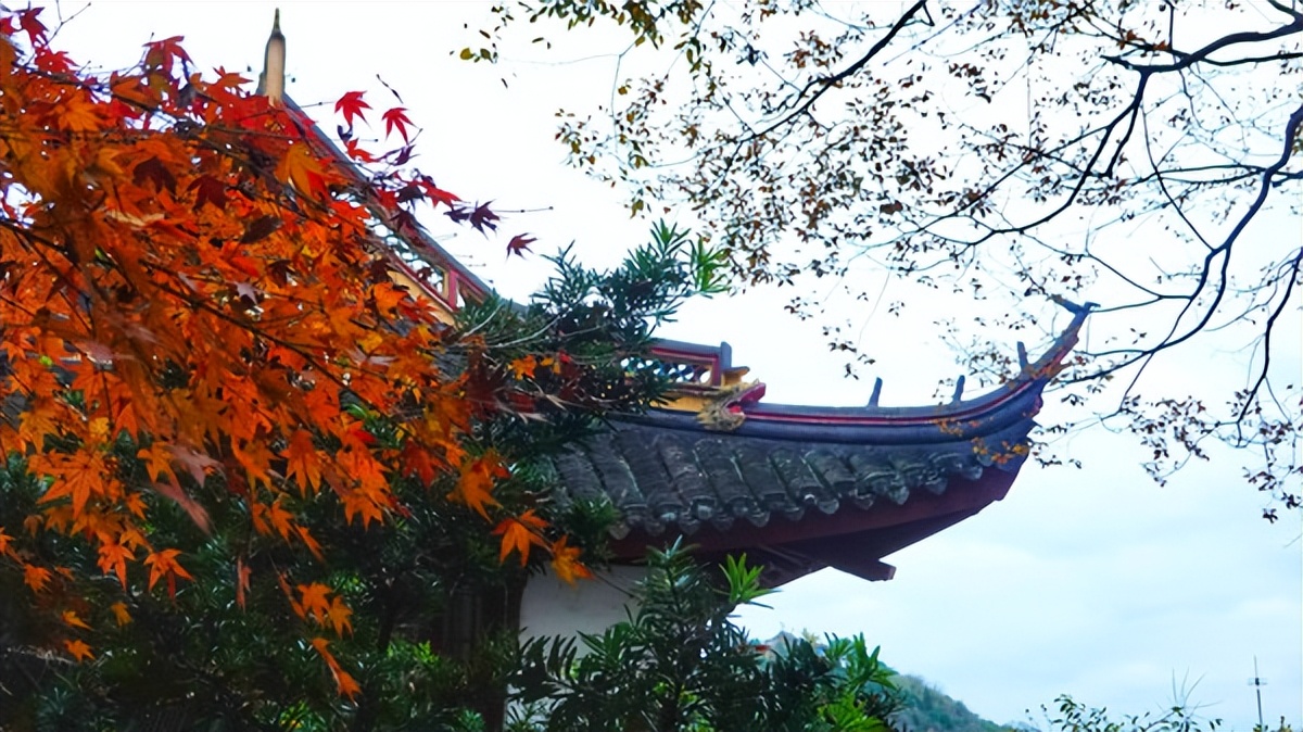 在江苏的“绿林仙海”中，寻找侠气与柔情