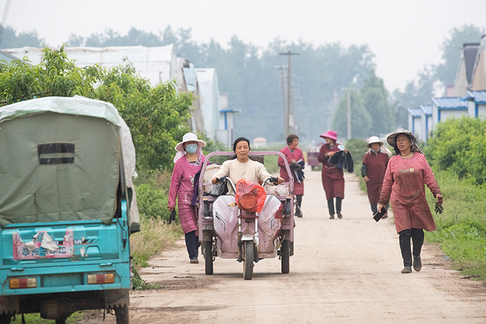 返乡创业青年种植大户,返乡种植养殖创业青年