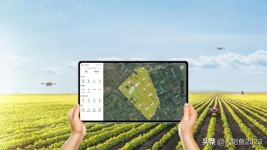 2023年中国农业农村报告,2022农业农村发展趋势