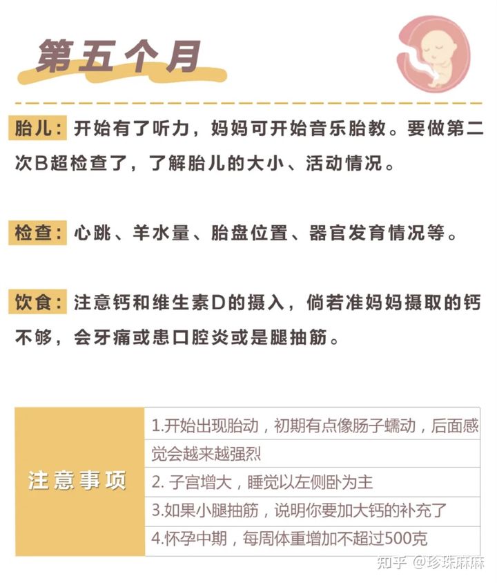 孕妇受孕过程,孕妇从怀孕到生的注意事项及时间