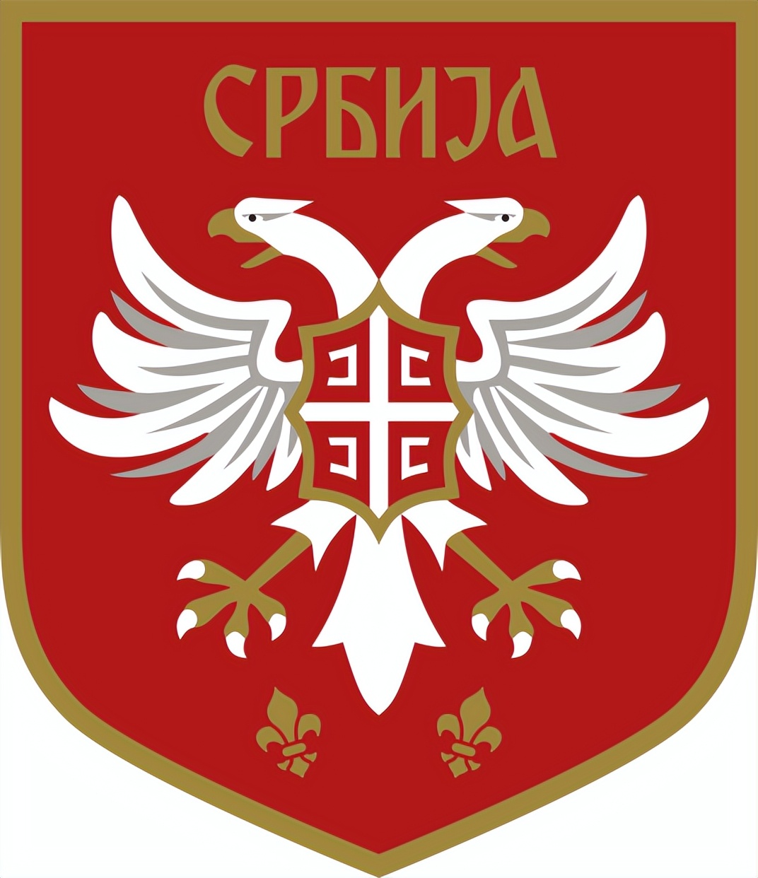 卡塔尔世界杯喀麦隆3比3塞尔维亚,卡塔尔世界杯巴西对喀麦隆