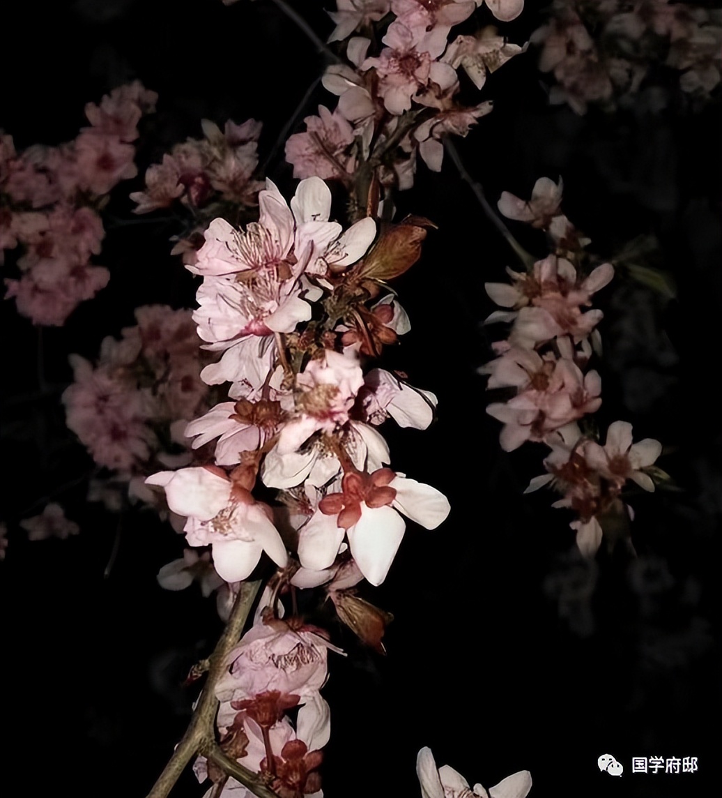 晚春美景的唯美诗句,遇见春天唯美诗词