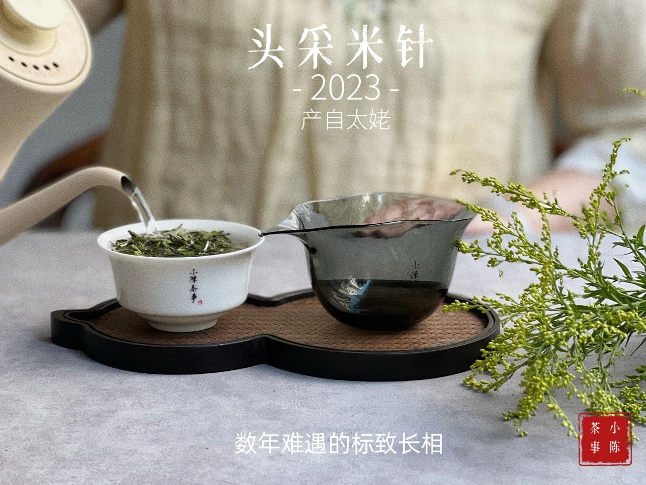 白茶鉴茶全套视频教程,白茶鉴茶教学视频
