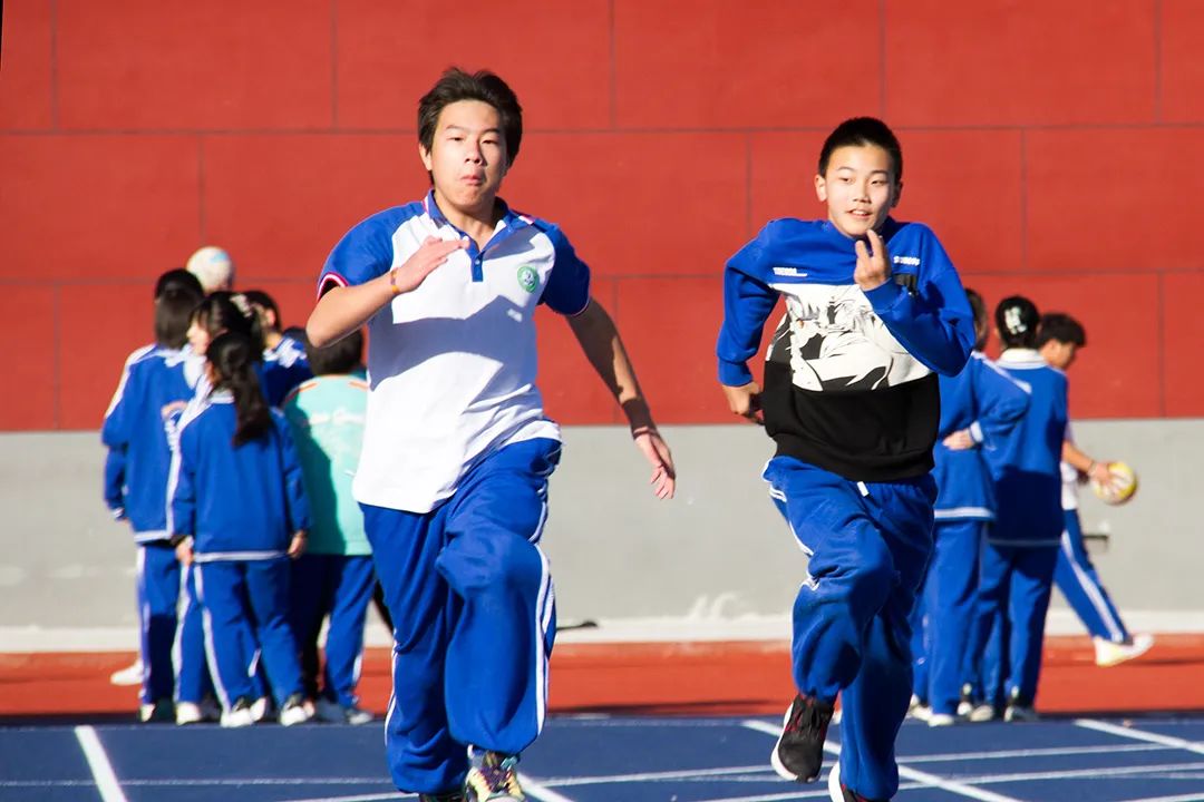 杨镇二中排名全国第几,杨镇二中是重点中学吗