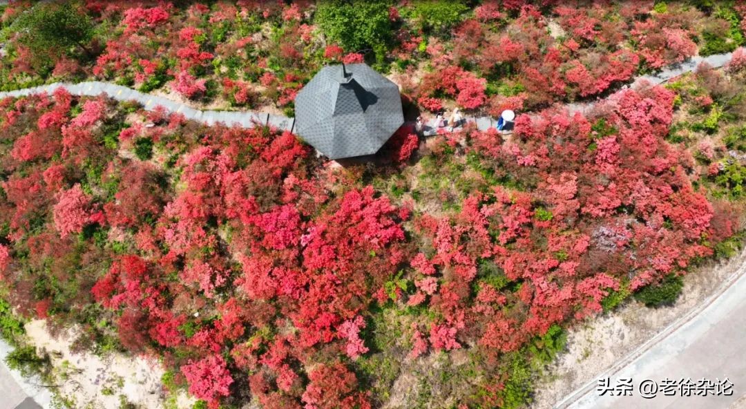 磐安十大美丽乡村,浙江最美县城磐安
