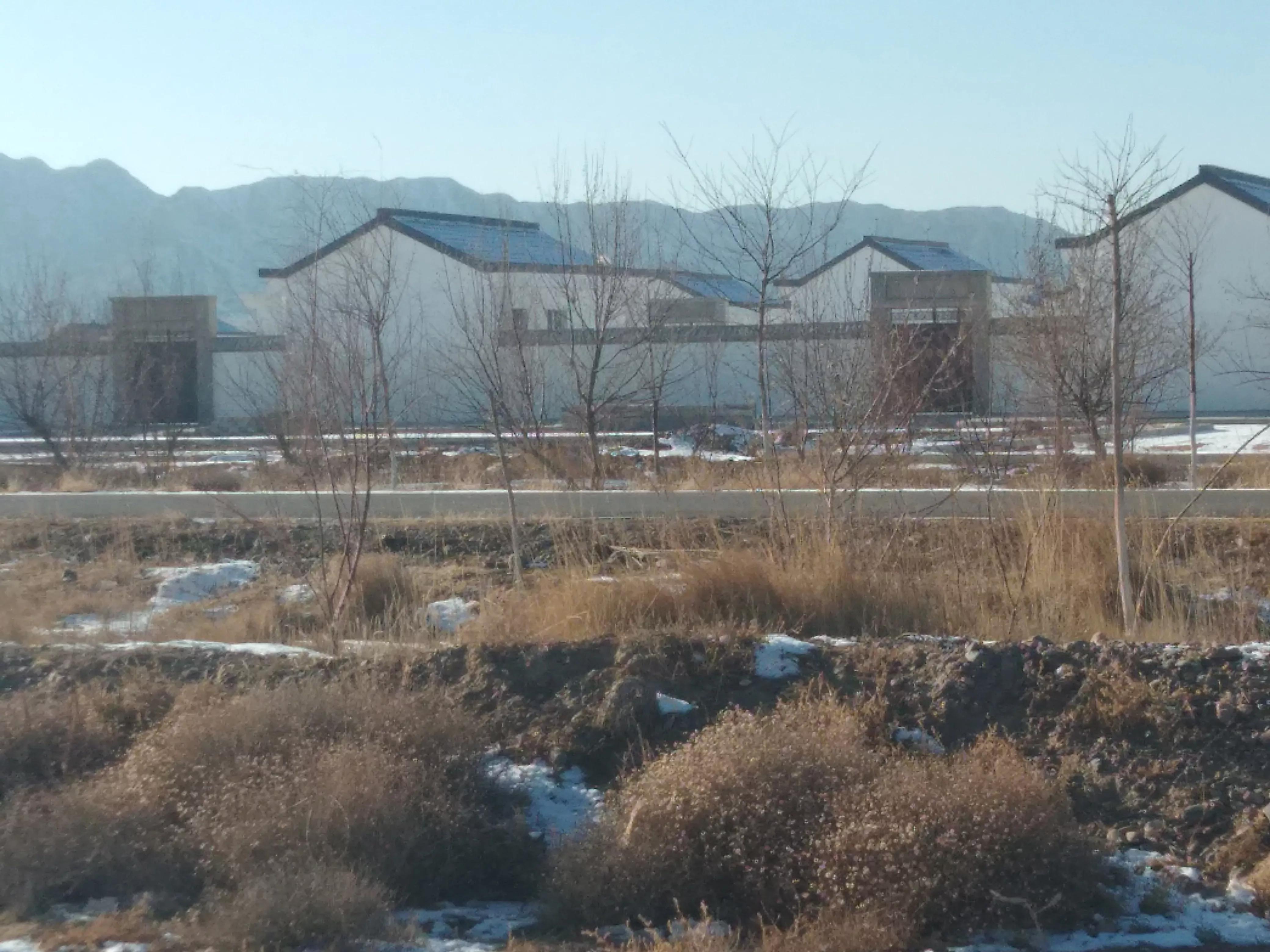 养牛究竟挣钱吗,养牛行业值不值得入行