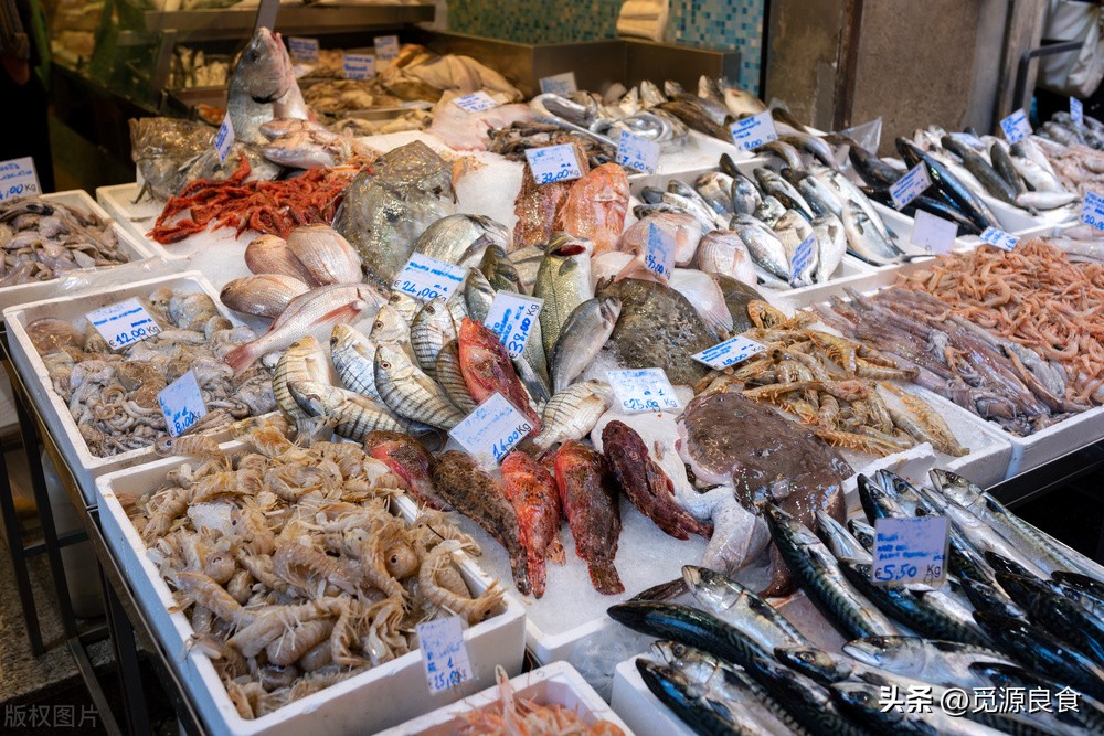 冬季吃鱼首选这5种,妙招冬天吃鱼内行人专挑这5种