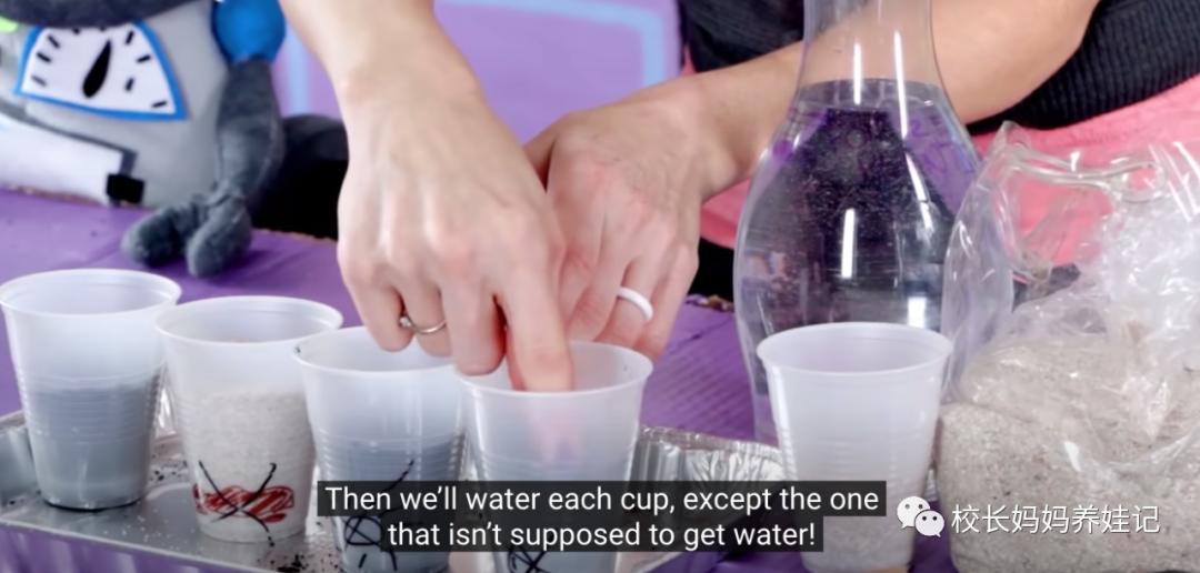 关于春天种植的英文儿歌,英文种植儿歌