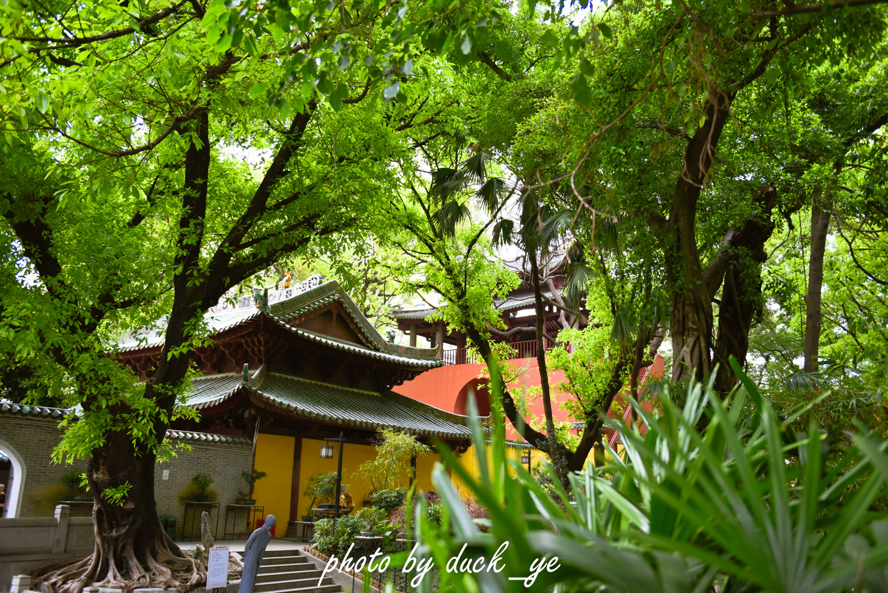 广州闹市古寺,广州闹市中的古建筑