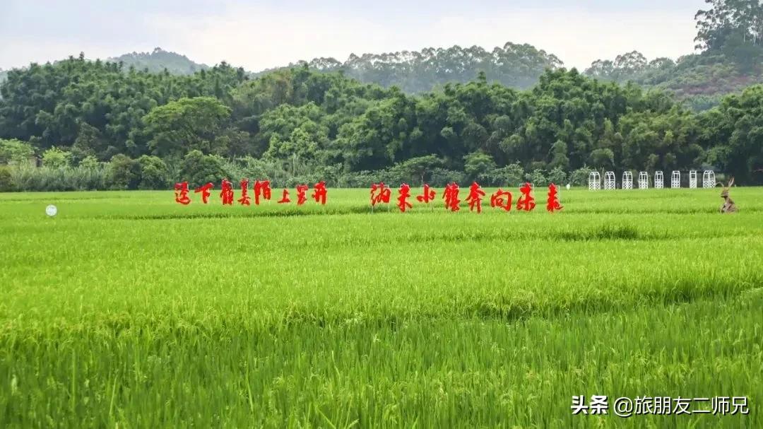 南平静修小镇凤溪玩水,南平静修小镇凤溪玩水区订票