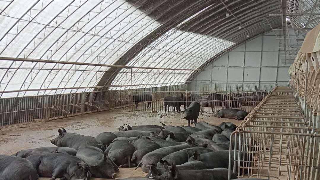 有哪些智能温室好选择,智能温室与智慧温室的区别