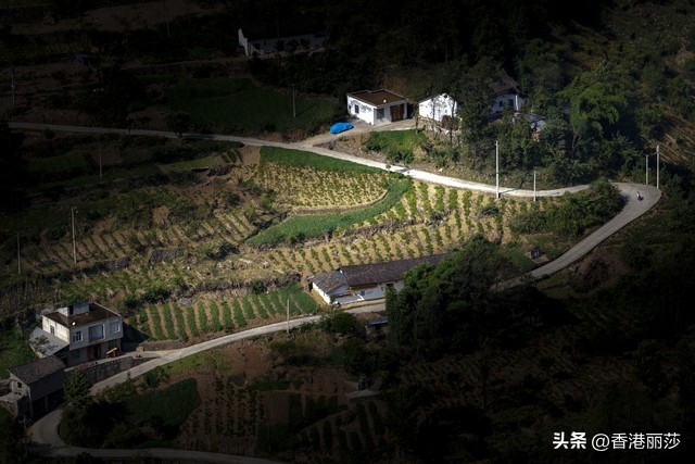 一位57岁阿姨在香港，每年收朋友200元利是朋友是“夹心饼干”