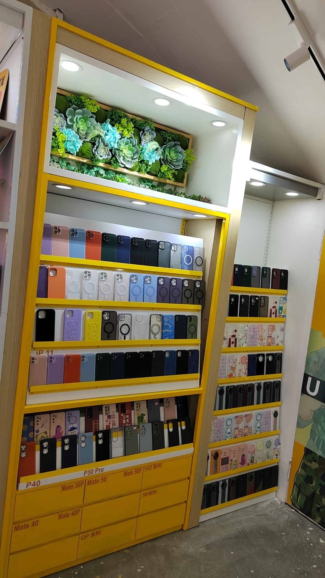 黑龙江的粉丝们有福利啦，哈乐壳绥化万达店开业