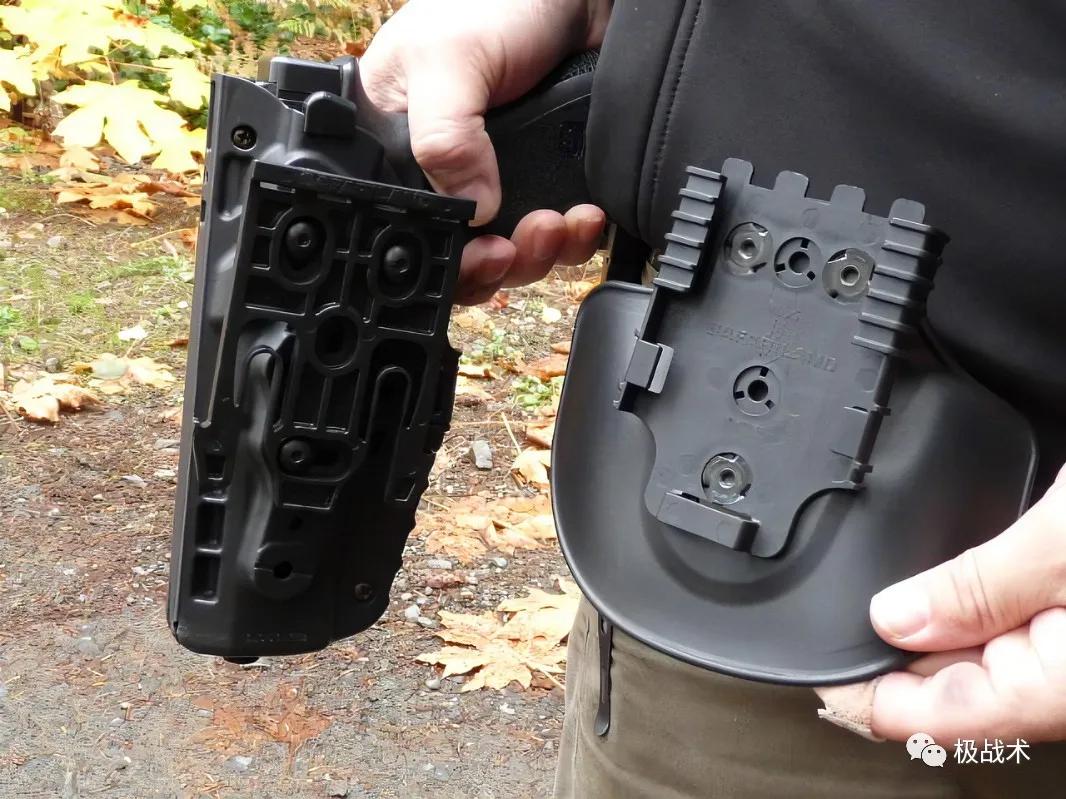 虎年说虎科普视频,虎年说虎运用了哪些说明方法